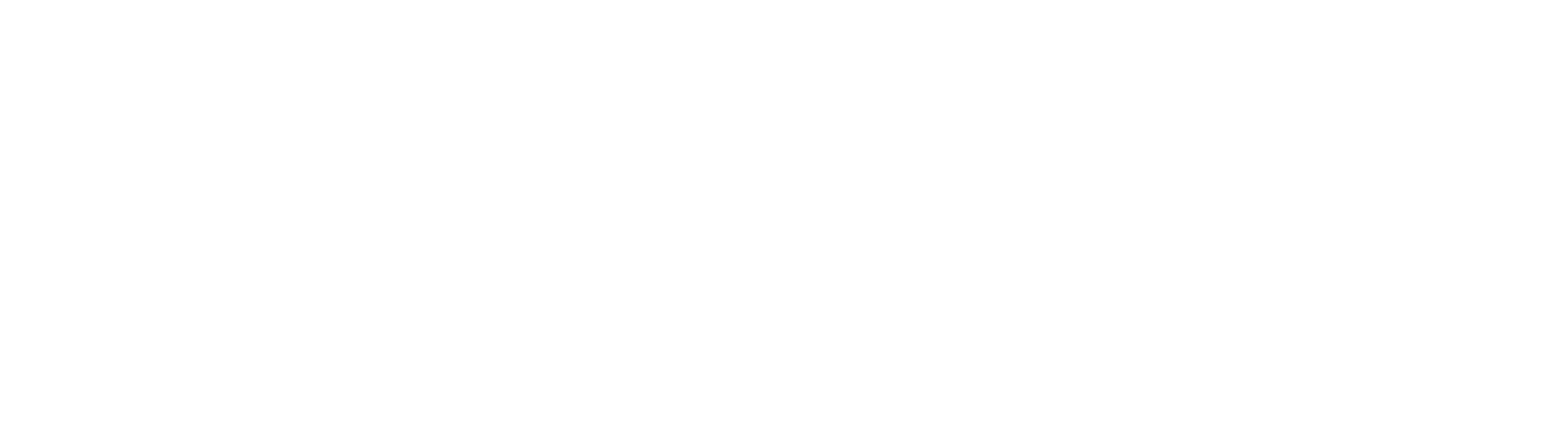 AHE logo